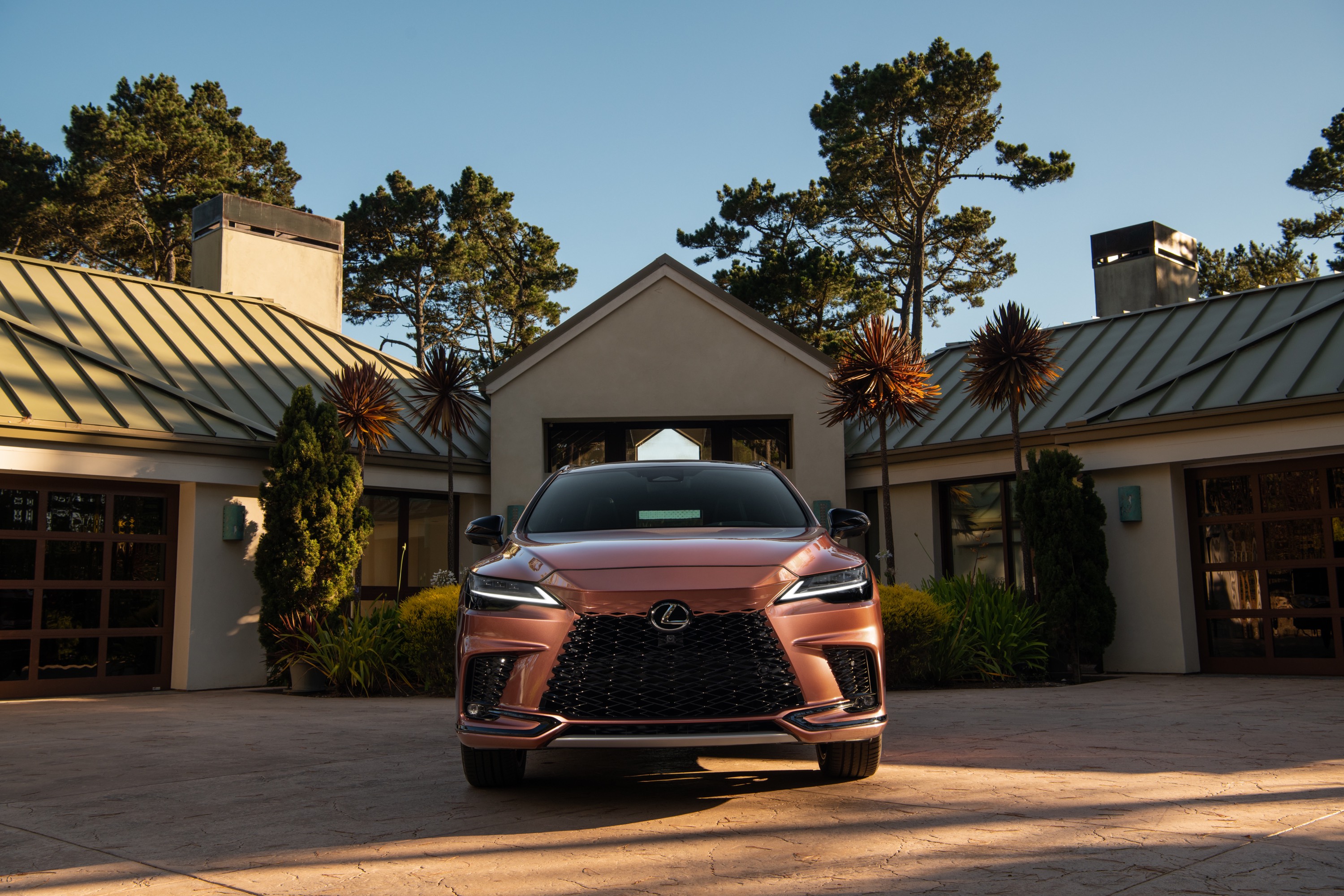 Lexus Lexus RX