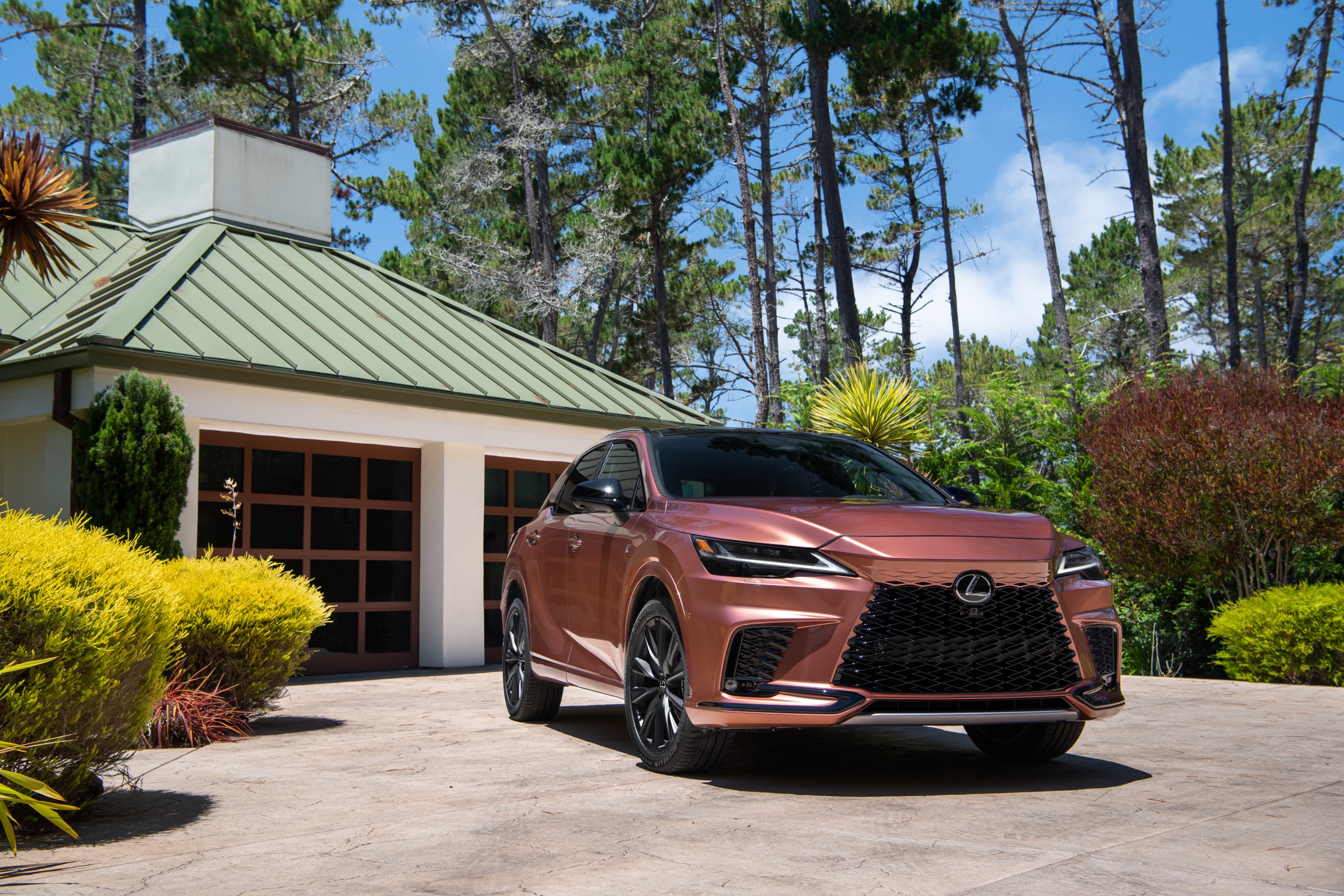 Lexus Lexus RX