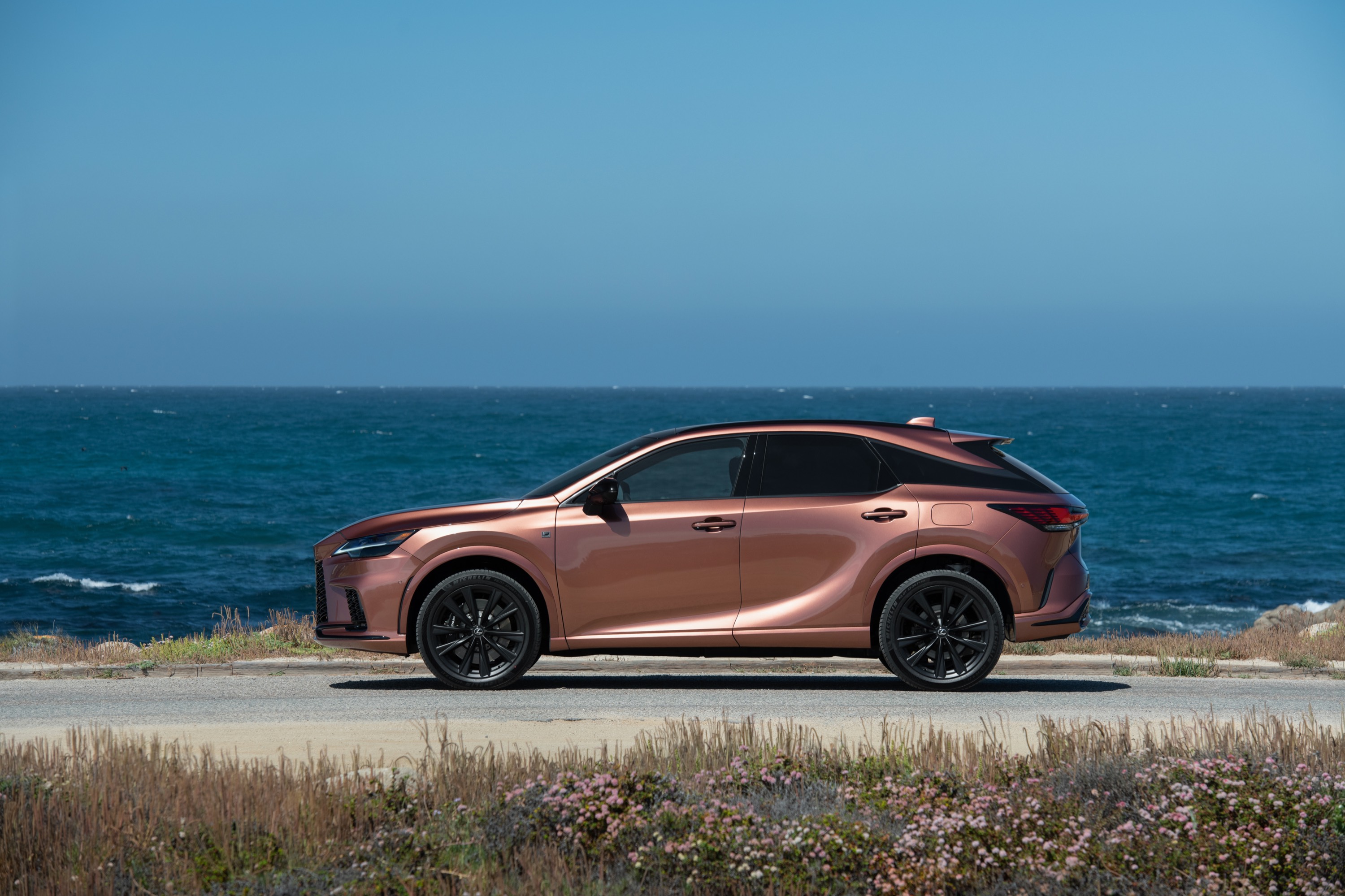 Lexus Lexus RX