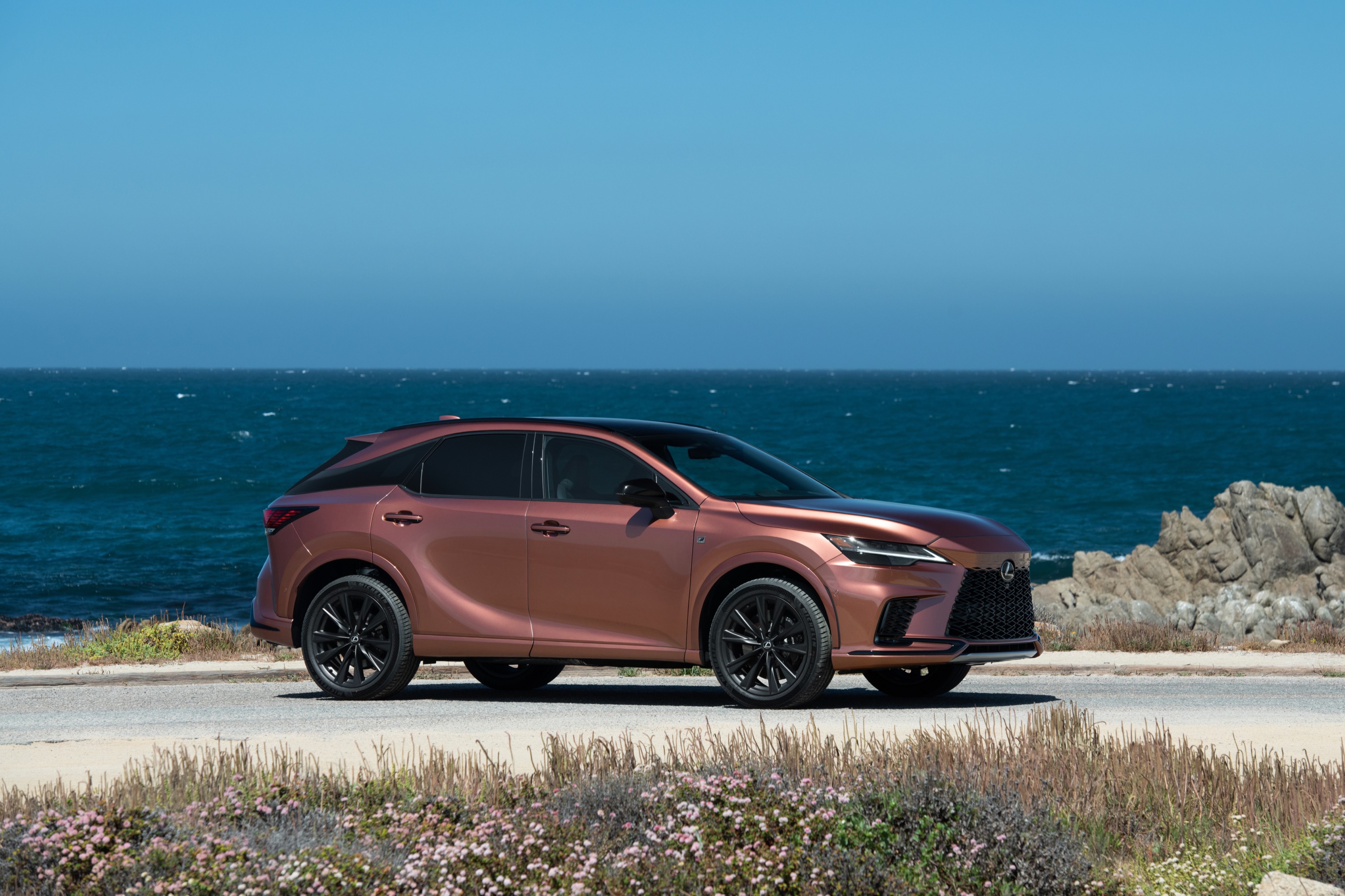 Lexus Lexus RX