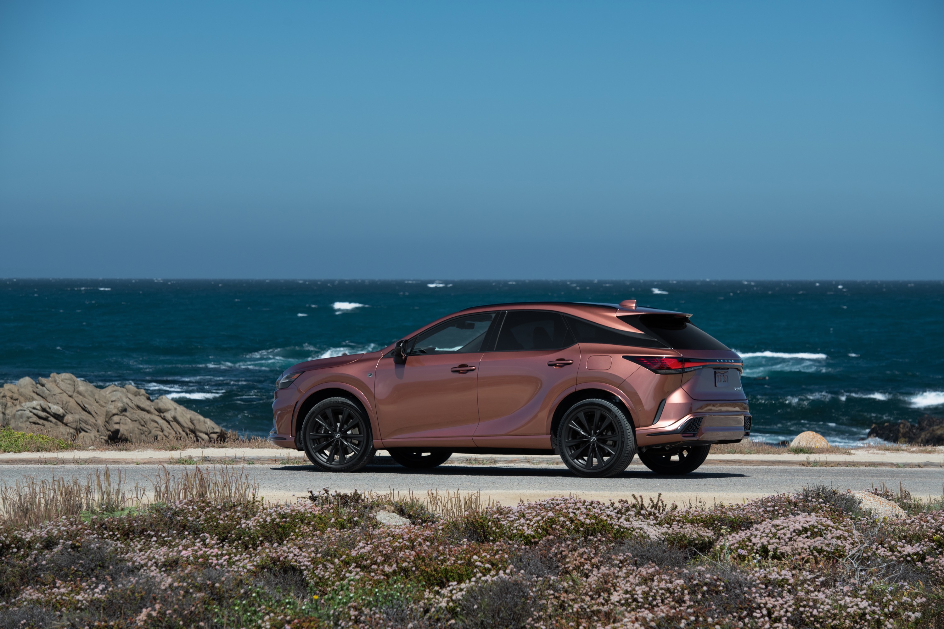 Lexus Lexus RX
