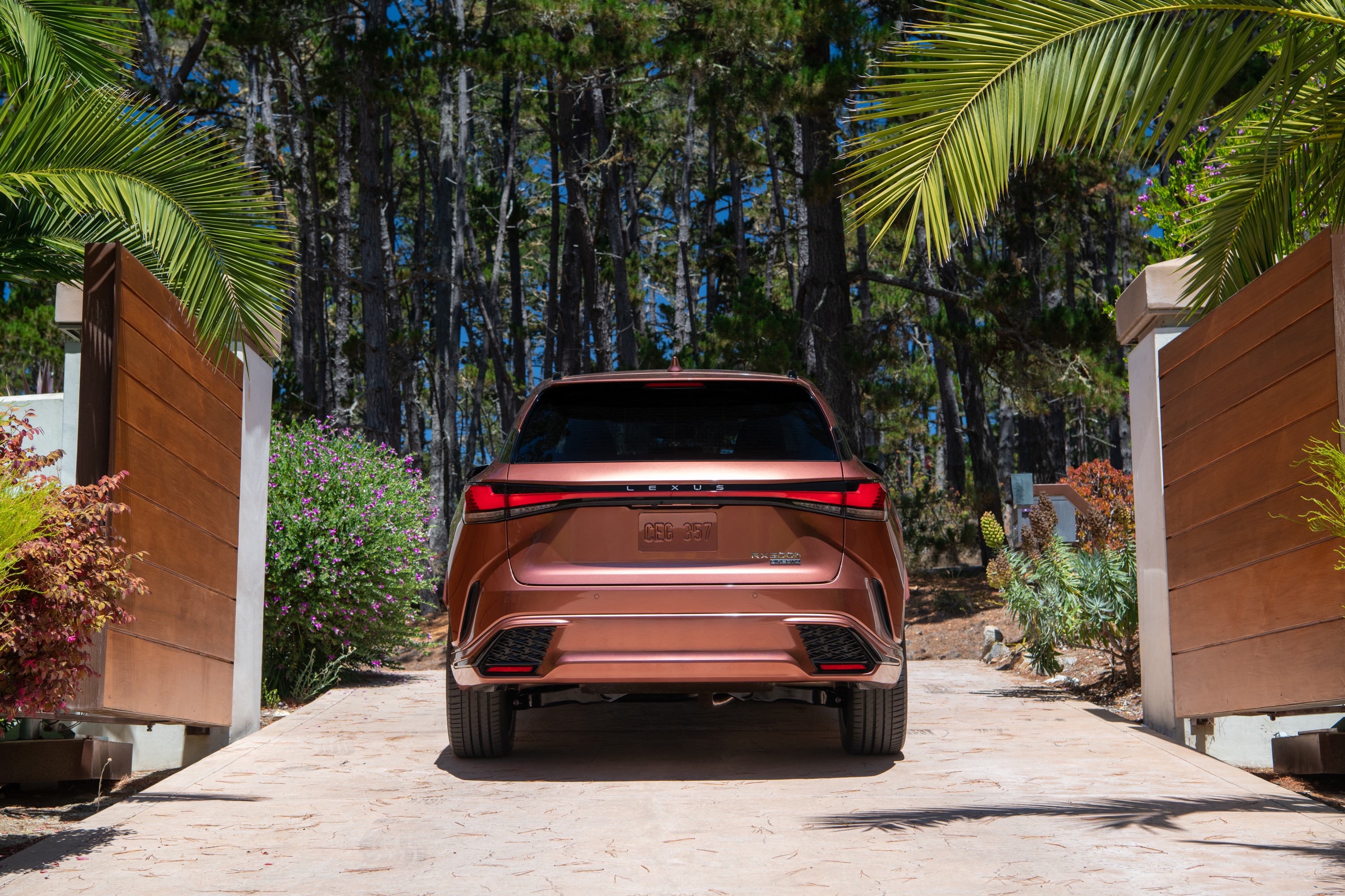Lexus Lexus RX