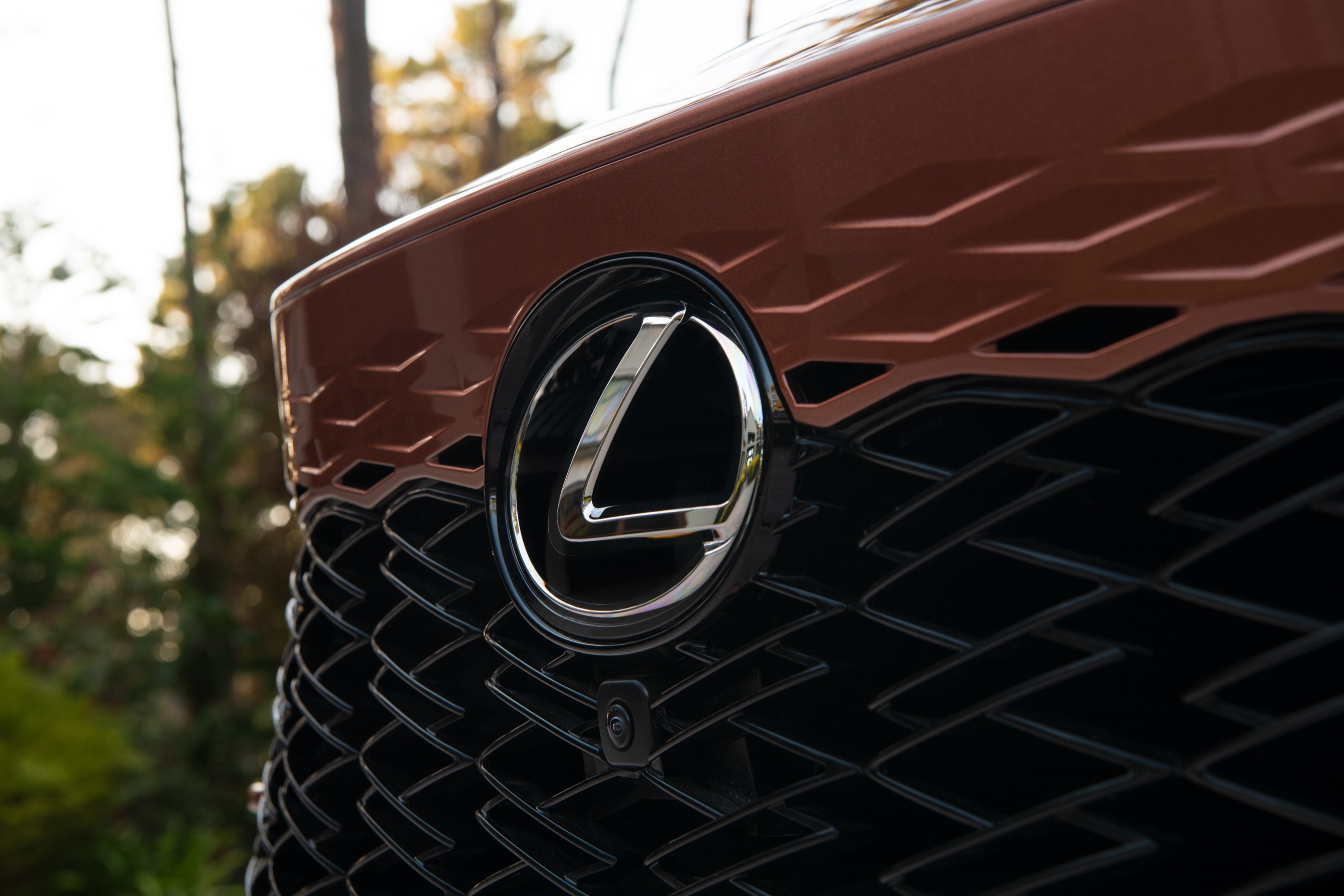 Lexus Lexus RX