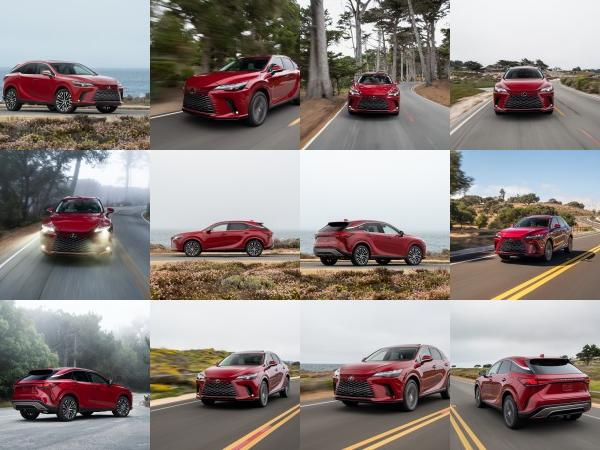 Lexus Lexus RX (2023) - picture 25 of 99