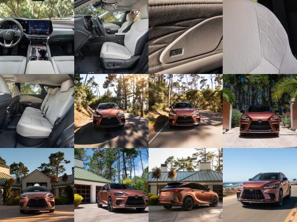 Lexus Lexus RX (2023) - picture 73 of 99