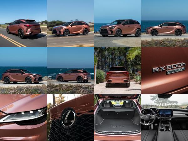 Lexus Lexus RX (2023) - picture 85 of 99