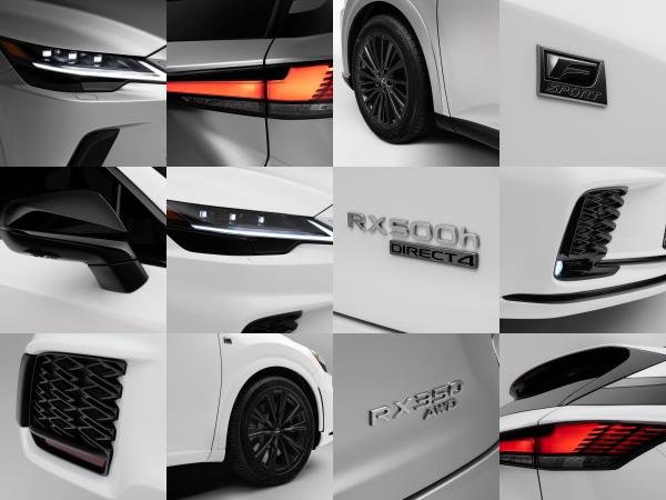 Lexus RX (2023) - picture 13 of 41