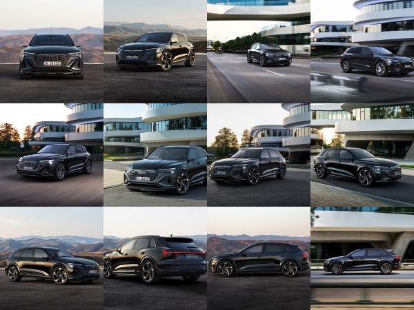 Audi SQ8 e-tron quattro (2024) - picture 1 of 29