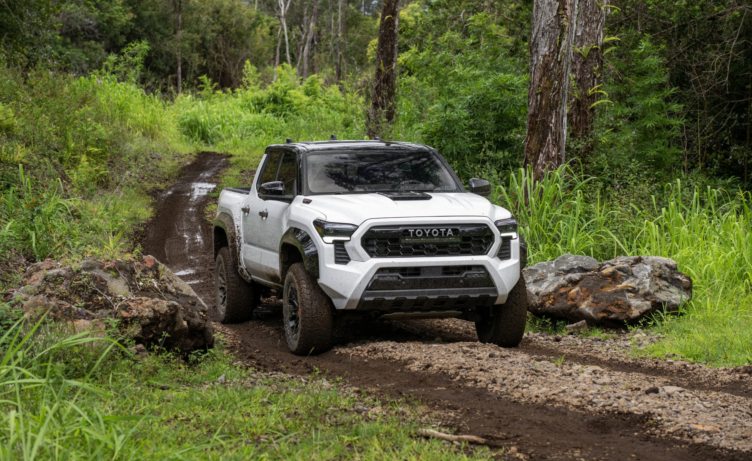 Toyota Tacoma