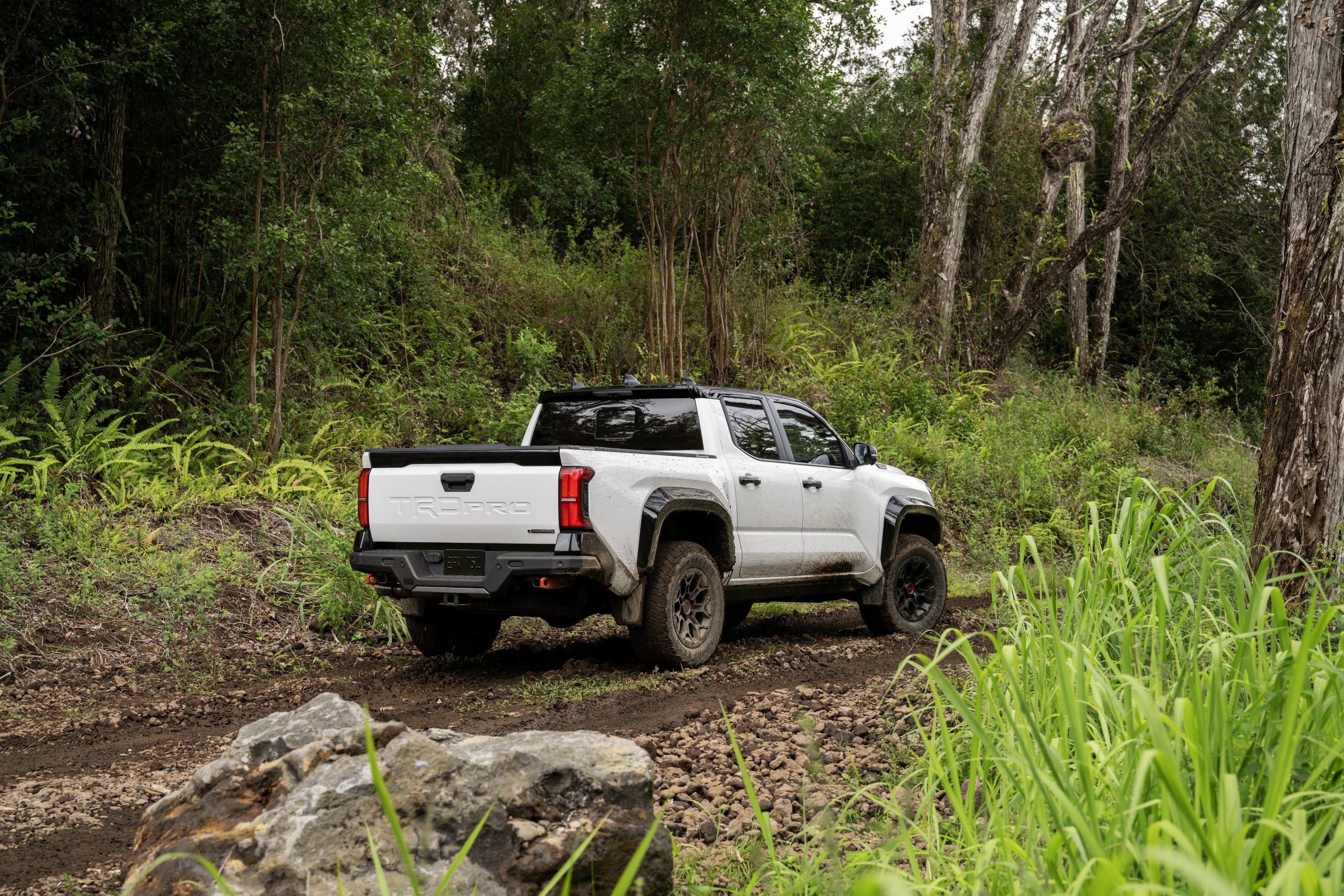 Toyota Tacoma
