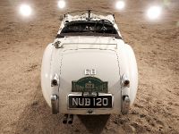 60 years of Jaguar XK (2009) - picture 5 of 19