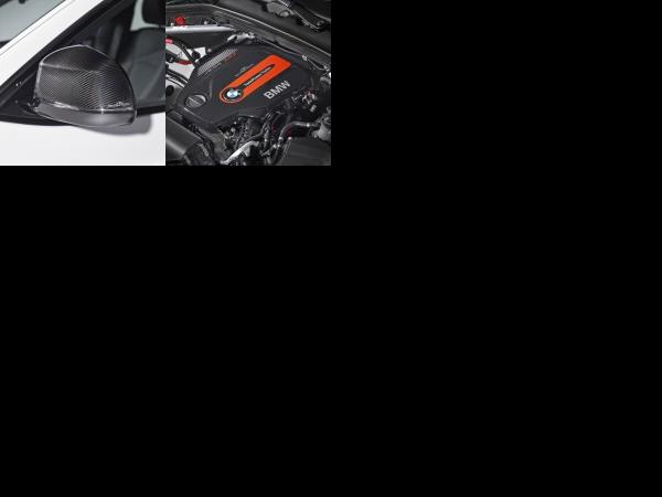 AC Schnitzer BMW X4 (2014) - picture 13 of 14