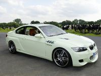 AC Schnitzer BMW GP3.10 (2007) - picture 1 of 5