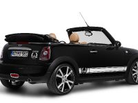 AC Schnitzer MINI JCW (2009) - picture 8 of 9