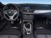 AC Schnitzer X1 (2010) - picture 1 of 18