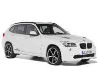 AC Schnitzer X1 (2010) - picture 8 of 18