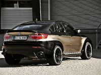 AC Schnitzer BMW X6 Falcon (2008)