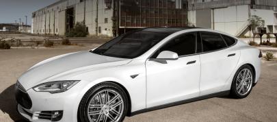 2014 AEZ Cliff Tesla Model S