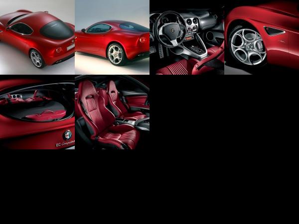 Alfa Romeo 8C Competizione (2009) - picture 13 of 18