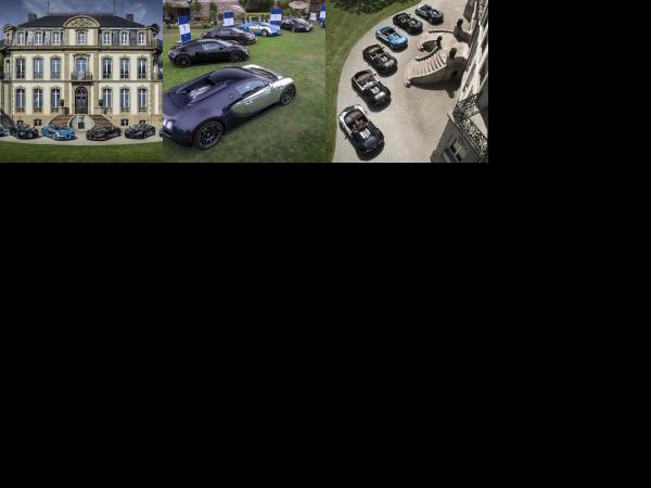 Bugatti All Bugatti Veyron Legend Editions (2014) - picture 1 of 3