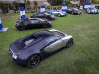 All Bugatti Veyron Legend Editions (2014)