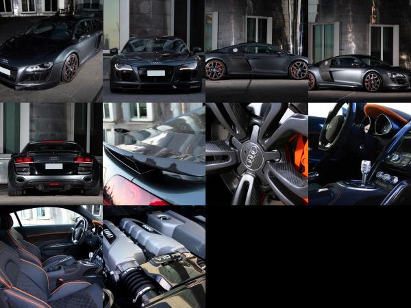 Anderson Audi R8 V10 Racing Edition (2010) - picture 1 of 10
