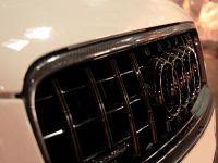 ANDERSON GERMANY Audi Q7 (2011) - picture 7 of 10