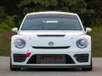 Andretti Rallycross Volkswagen Beetle GRC (2014) - picture 1 of 3