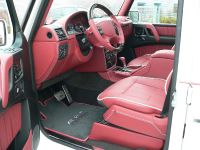 ART Mercedes-Benz G streetline (2009) - picture 6 of 8