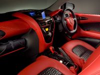 Aston Martin Cygnet Concept (2010)
