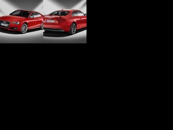 Audi A5 DTM Champion Special Edition (2013) - picture 1 of 2