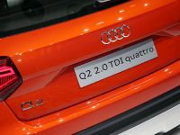 Audi Q2 Geneva 2016 (2016)