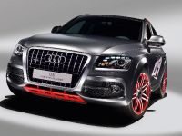 Audi Q5 custom concept (2009)