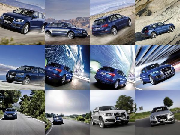 Audi Q5 (2009) - picture 1 of 15
