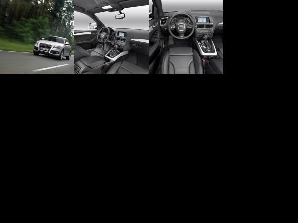 Audi Q5 (2009) - picture 13 of 15