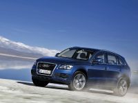 Audi Q5 (2009)