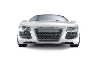 Audi R8 Spark Eight by Eisenmann (2010)
