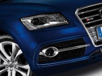 Audi SQ5 TDI (2013)