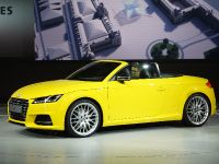 Audi TTS Paris 2014 (2014)