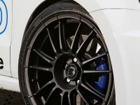 B&amp;B Automobiltechnik Volkswagen Polo R WRC Street (2013) - picture 6 of 15