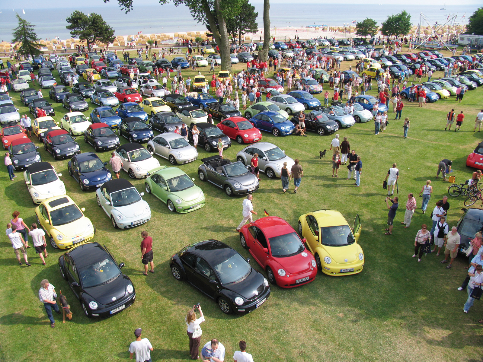 Volkswagen Beetle fans are celebrating a double birthday