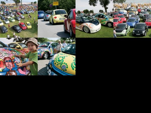 Volkswagen Beetle fans are celebrating a double birthday (2008) - picture 1 of 6