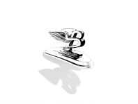 Bentley Arnage (2008) - picture 6 of 15