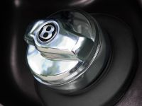 Bentley Arnage (2008) - picture 7 of 15