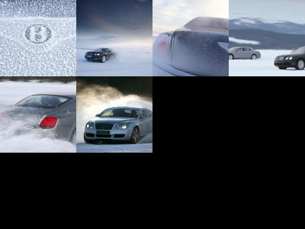 Bentley Continental GT (2009) - picture 1 of 6