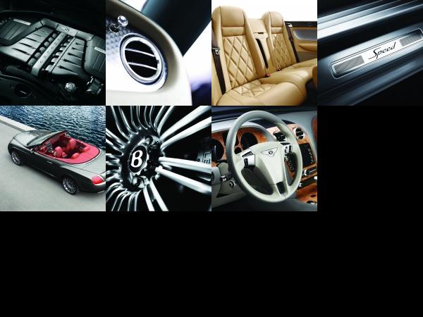 Bentley Continental GTC Speed (2010) - picture 13 of 19