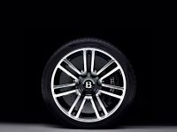 Bentley Series 51 (2010) - picture 5 of 6