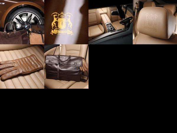 BMW 5er Gran Turismo Trussardi (2011) - picture 13 of 18