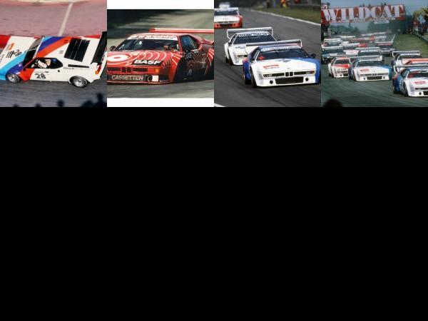 BMW M1 Procar (2008) - picture 13 of 16