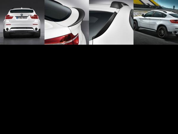 BMW Performance X6 (2010) - picture 1 of 4
